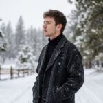 Result 2 for Silver Snowfall AI Photo Editing Prompt